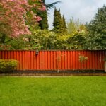 Dethatching Your Yard