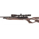 Air Rifles