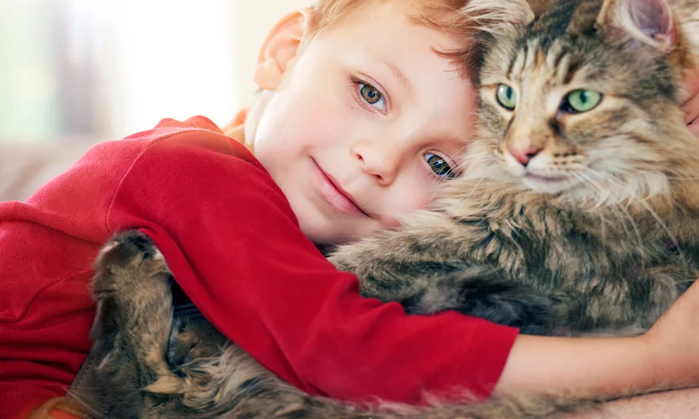 How Animal Hospitals Ensure Continuity of Care for Multi-Pet Families
